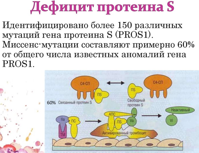 Протеин S понижен при беременности: опасно или нет?