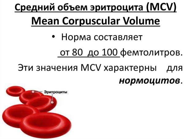 Средний объем эритроцита MCV повышен у женщин, мужчин