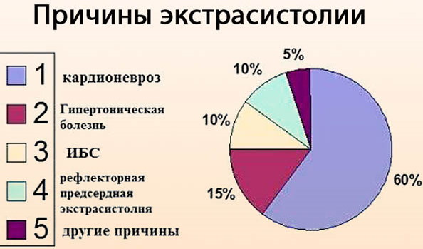 Толчки, сильно бьется сердце в состоянии покоя. Причины, что делать