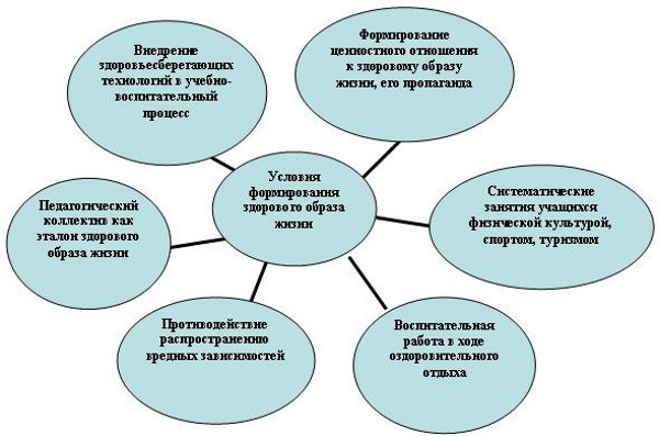 Здоровый образ жизни (ЗОЖ): привычки полезные, вредные