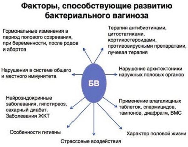 Бактериальный вагиноз. Лечение, симптомы, что это такое