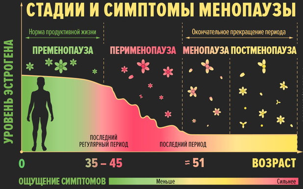 Эндометрий при менопаузе. Норма толщины