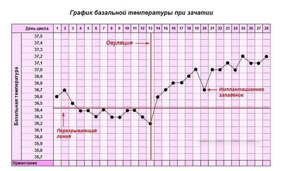 Нормы температуры тела у взрослого человека по возрасту