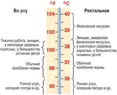 Нормы температуры тела у взрослого человека по возрасту