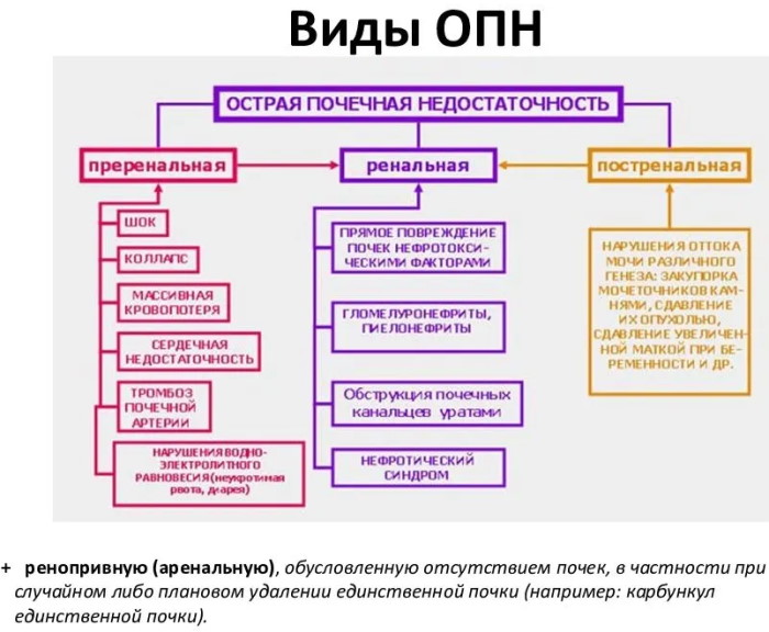 Острая почечная недостаточность. Симптомы у женщин, лечение, таблетки