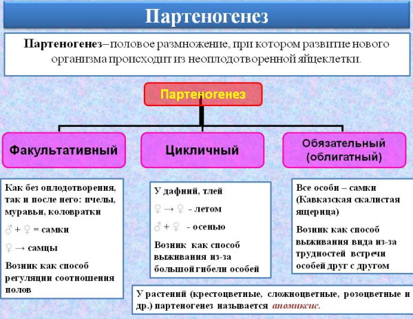 Партеногенез это бесполое размножение. Виды, примеры