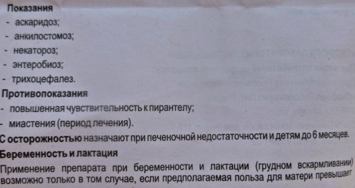 Пирантел суспензия для взрослых. Дозировка, инструкция, как принимать