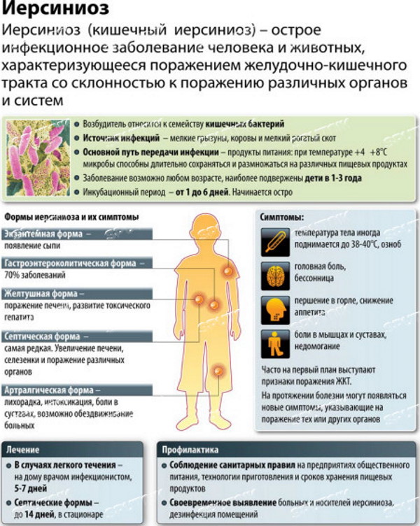 Псевдотуберкулез и иерсиниоз. Дифференциальная диагностика