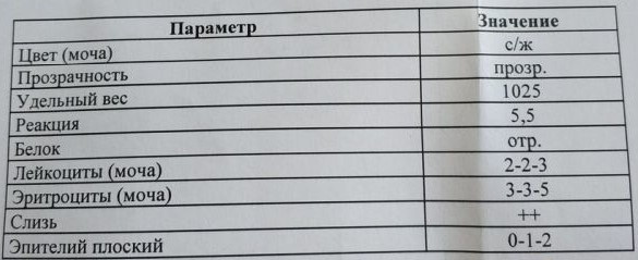 Слизь в моче у женщин. Причины 3 плюса, 2+, 1+, лечение