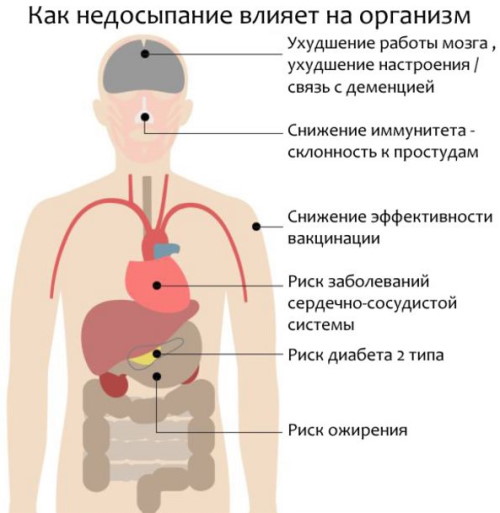 Сон: как работает, для чего нужен организму