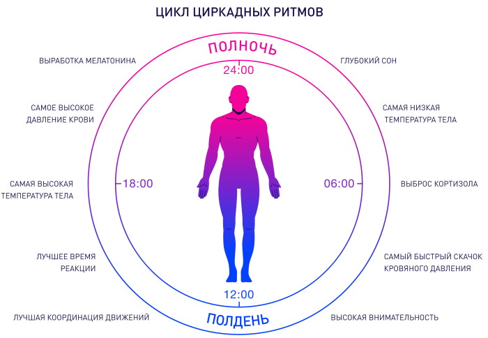 Сон: как работает, для чего нужен организму