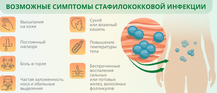 Фото стафилококк ауреус