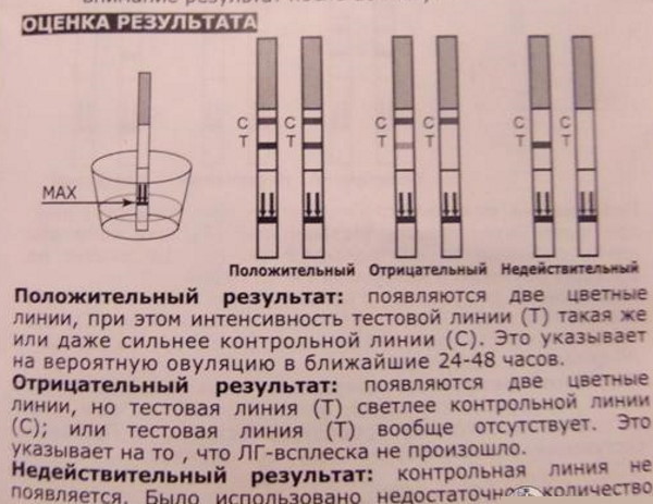 Тест на овуляцию. Как правильно делать, как работает, цены