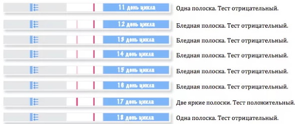 Тест на овуляцию. Как правильно делать, как работает, цены