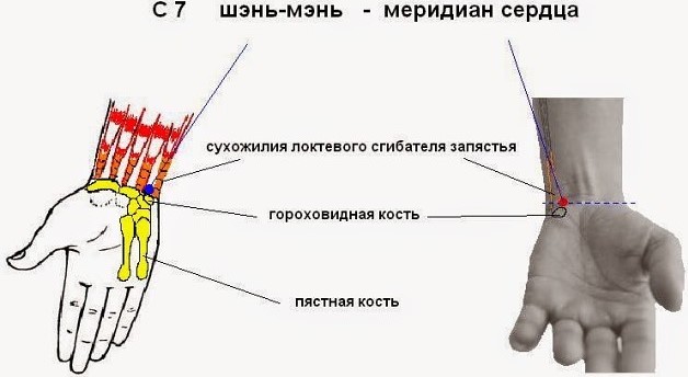 Точки здоровья на ладонях рук. Фото, акупунктурные точки массажа