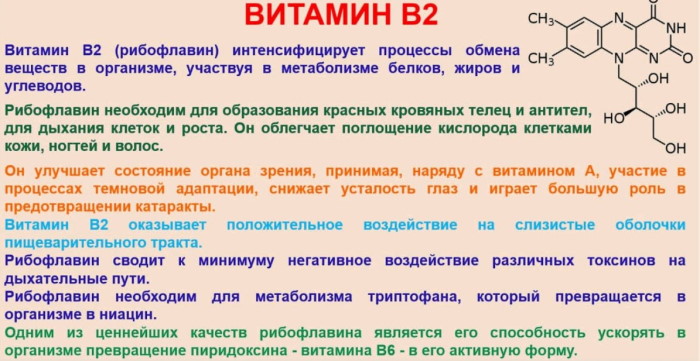 Витамин б2 картинки