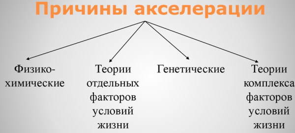 Акселерация в психологии. Что это такое, определение, причины