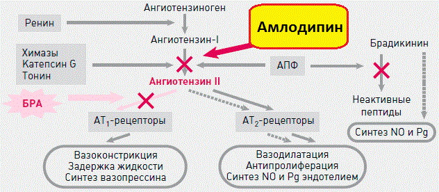 Аттенто таблетки 5-10+20-40. Инструкция по применению, отзывы, цена