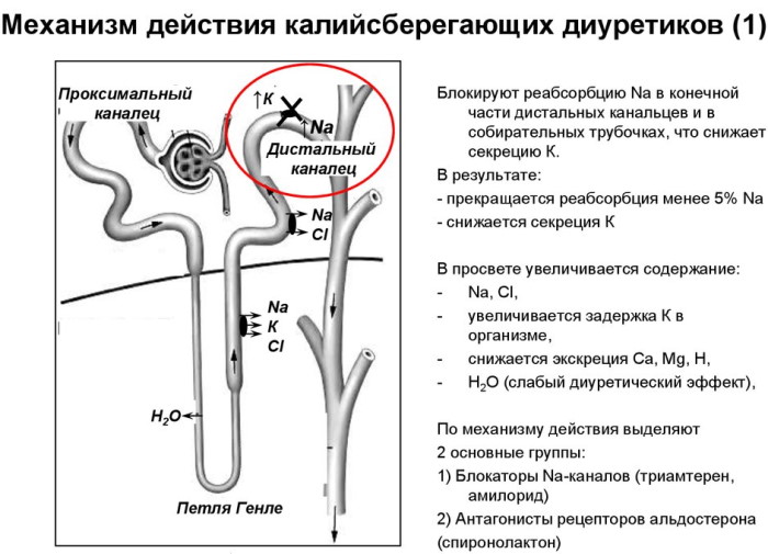 Диуретическое средство. Что это такое, что означает