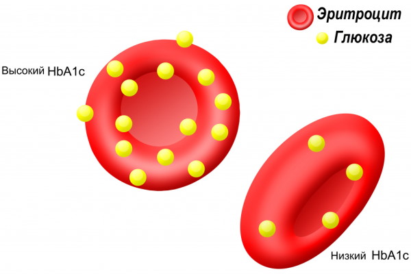Гликированный гемоглобин. Норма у женщин по возрасту. Таблица