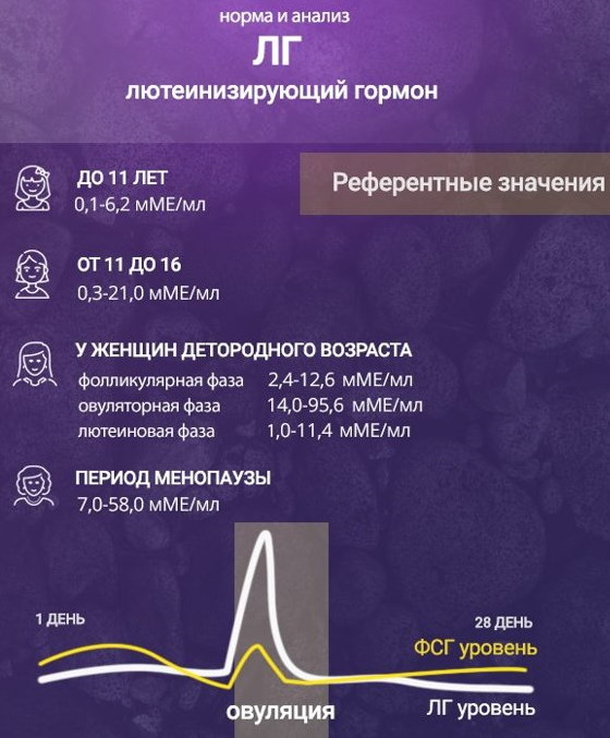 Лютеинизирующий гормон (ЛГ) норма у женщин по возрасту