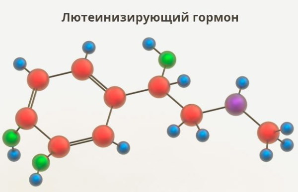 Лютеинизирующий гормон (ЛГ) норма у женщин по возрасту