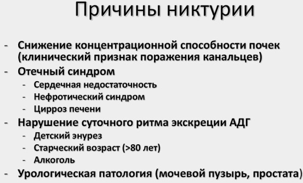 Моча по Зимницкому. Как собрать правильно, алгоритм