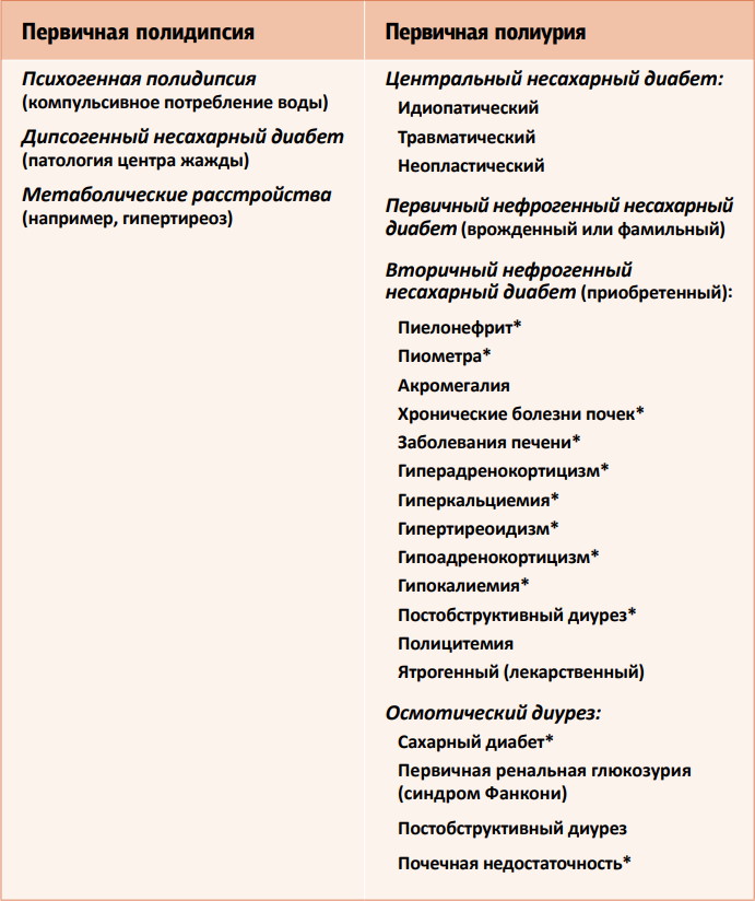 Моча по Зимницкому. Как собрать правильно, алгоритм