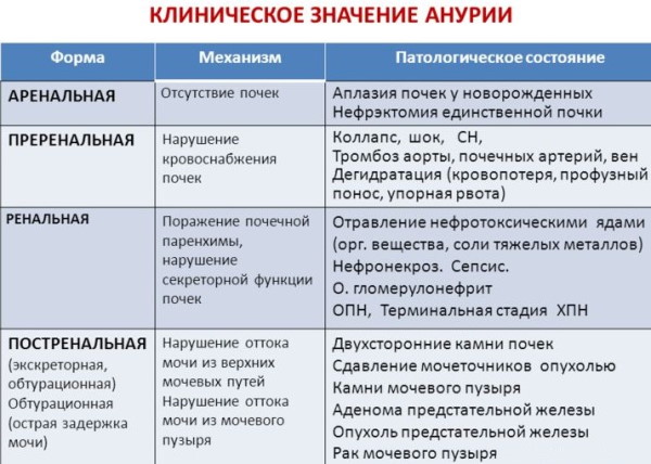 Моча по Зимницкому. Как собрать правильно, алгоритм