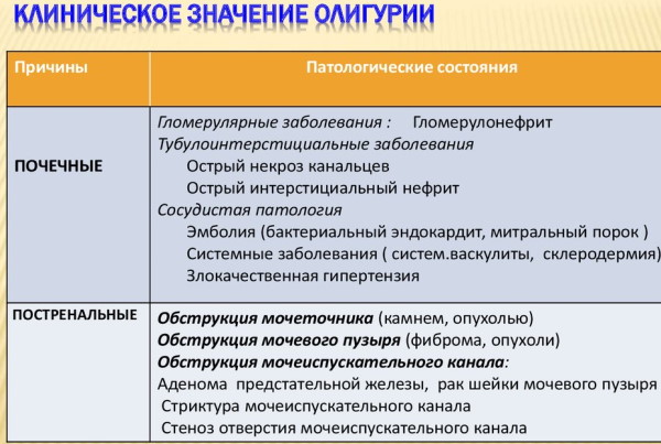 Моча по Зимницкому. Как собрать правильно, алгоритм