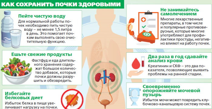 Препараты для лечения почек и мочевыводящих путей у женщин