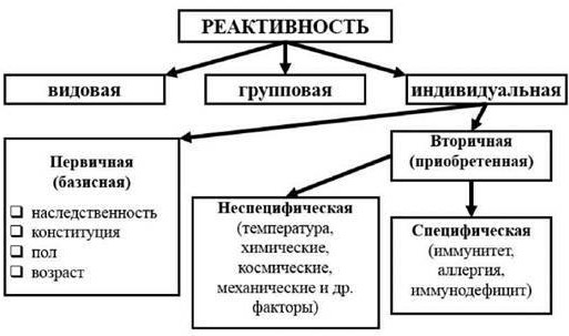 Реактивность в психологии это что такое, определение эмоциональная, ситуативная, полевая