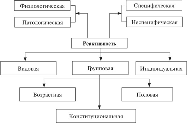 Реактивность в психологии это что такое, определение эмоциональная, ситуативная, полевая