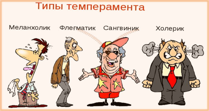 Сангвиник в психологии. Что это, определение, характеристика, описание, профессии