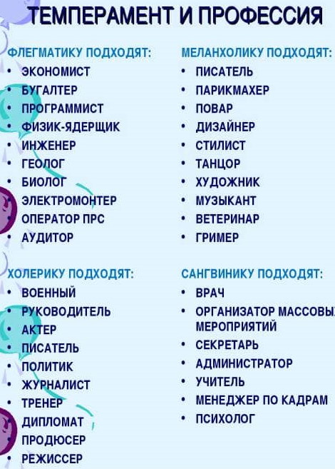 Сангвиник в психологии. Что это, определение, характеристика, описание, профессии