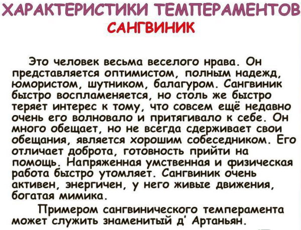 Сангвиник в психологии. Что это, определение, характеристика, описание, профессии