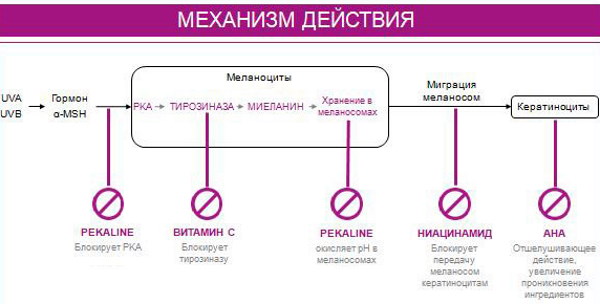 Средства от пигментации на лице в аптеке. Отзывы