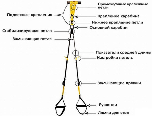 Тренажер Долинова Похудей для суставов. Отзывы