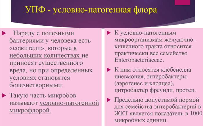 Условно-патогенные микроорганизмы это что такое. Примеры микробиология