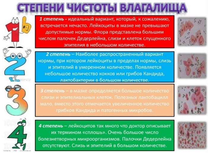 Условно-патогенные микроорганизмы это что такое. Примеры микробиология