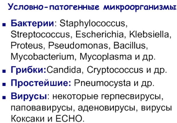 Условно-патогенные микроорганизмы это что такое. Примеры микробиология