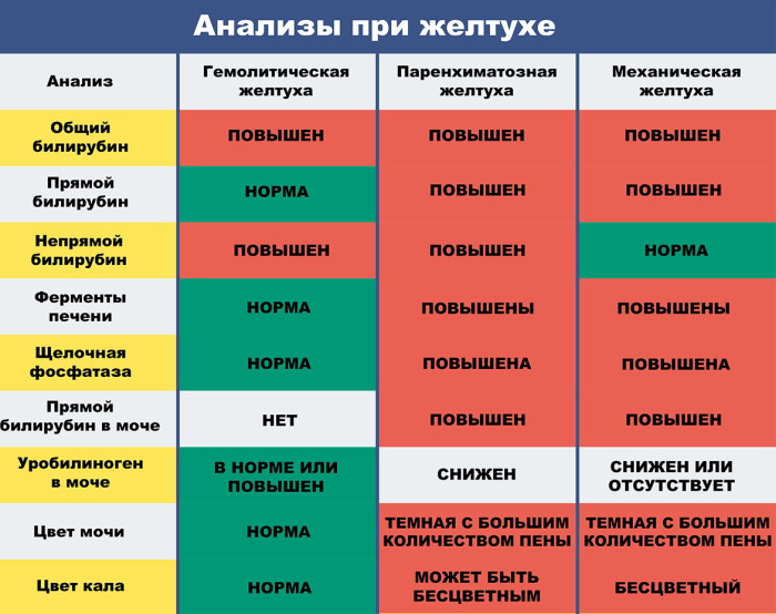 Желтуха у взрослых. Причины, симптомы, лечение, последствия