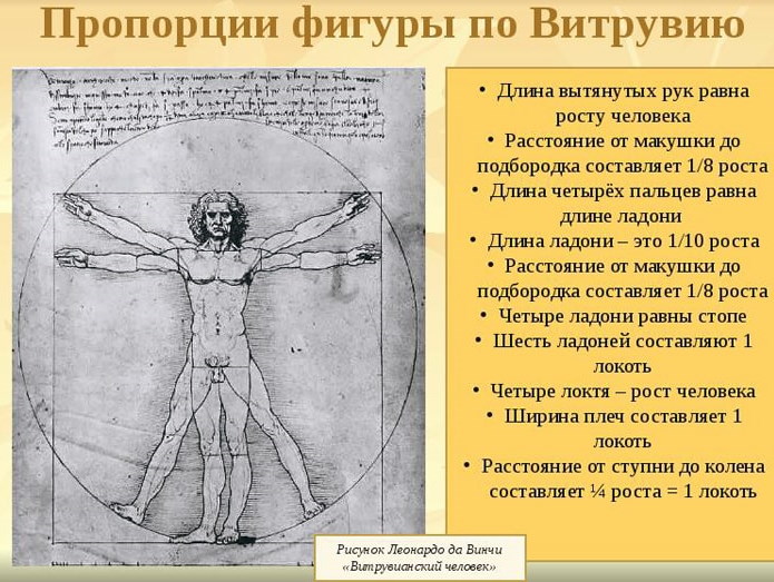 Идеальный человек Да Винчи Витрувианский человек. Смысл и золотое сечение