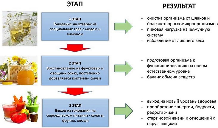 Марва Оганян. Очищение организма за 7-21 день, схема