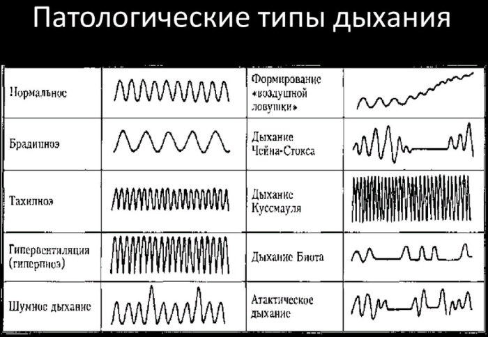 Типы женщин по гормональному фону