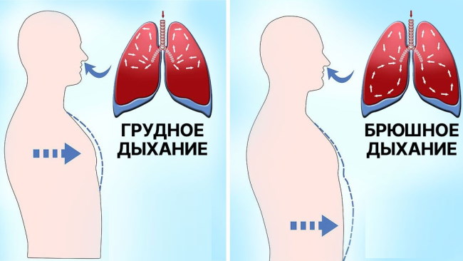 Типы дыхания у женщин, мужчин в норме: грудное, брюшное