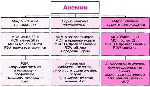 Цветовой показатель крови. Норма у женщин, детей, мужчин по возрасту