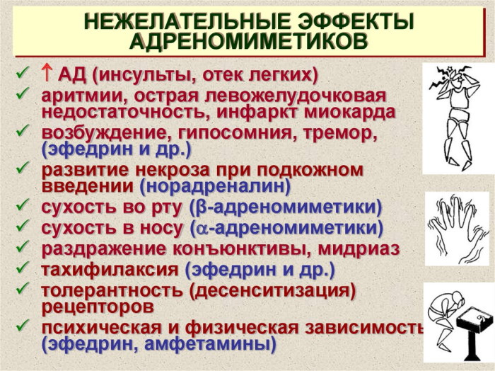 Альфа-адреномиметики препараты. Механизм действия, фармакологические эффекты