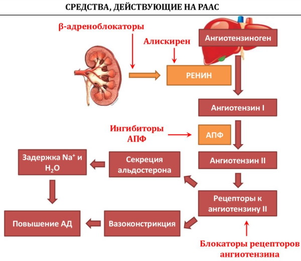 Алискирен. Инструкция по применению, содержащие препараты