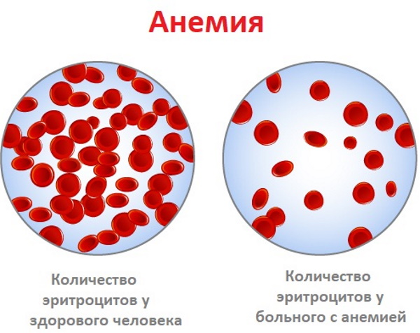 Артемизинин. Инструкция по применению, цена, отзывы